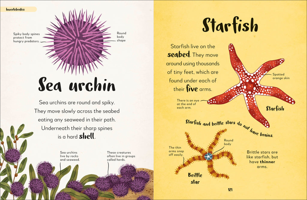 Bedtime Books-Spread, Image, (PRHC, Design, Do, Not, Use)-7