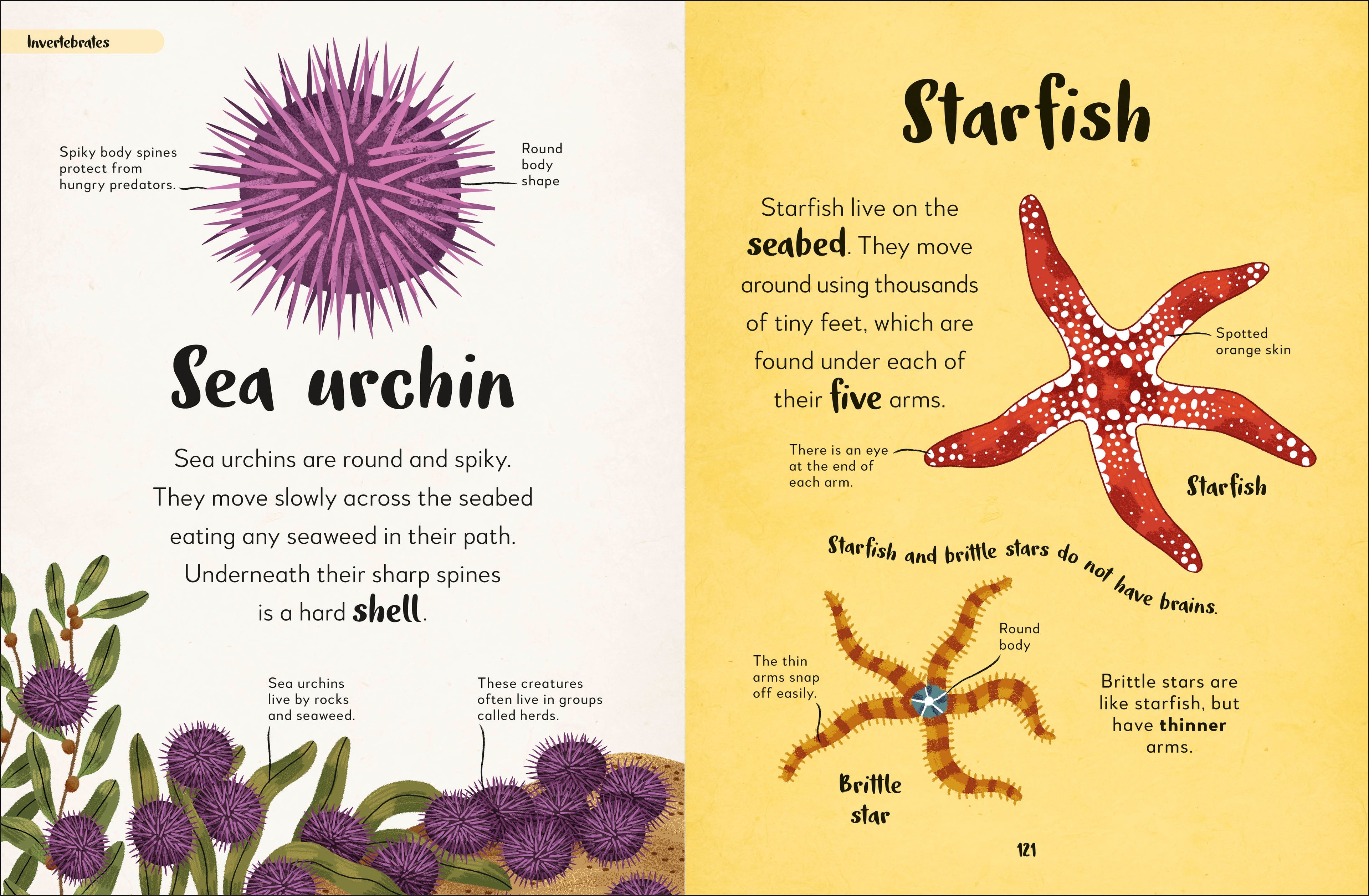 Bedtime Books-Spread, Image, (PRHC, Design, Do, Not, Use)-7