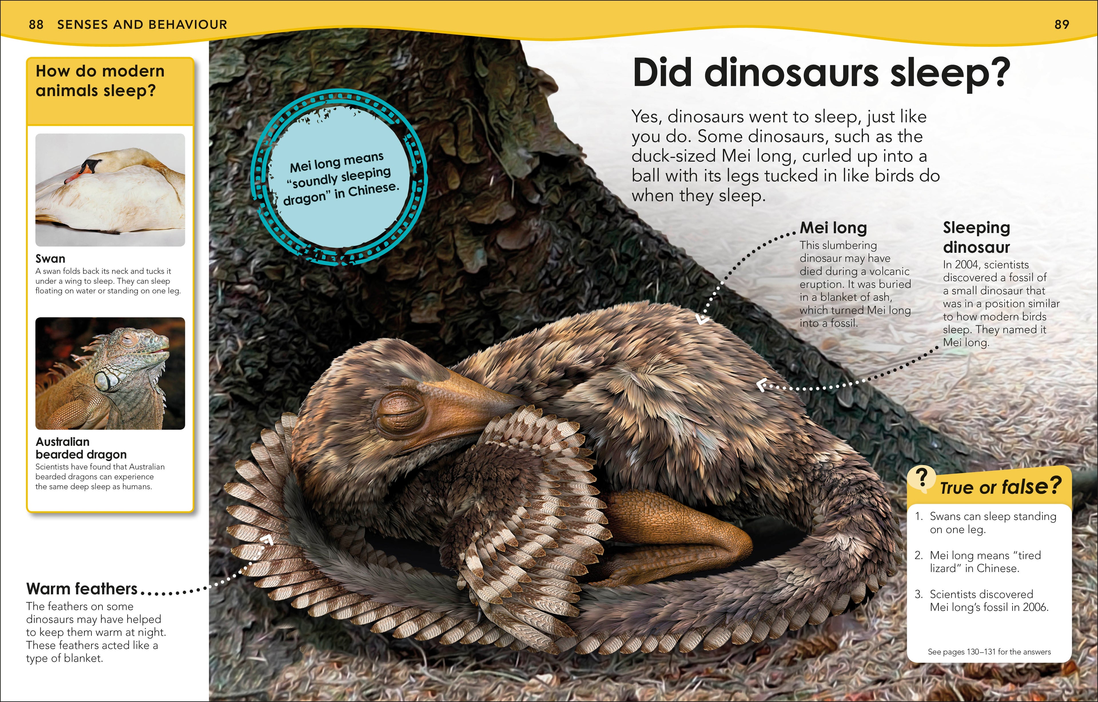 Does a Dinosaur Roar?