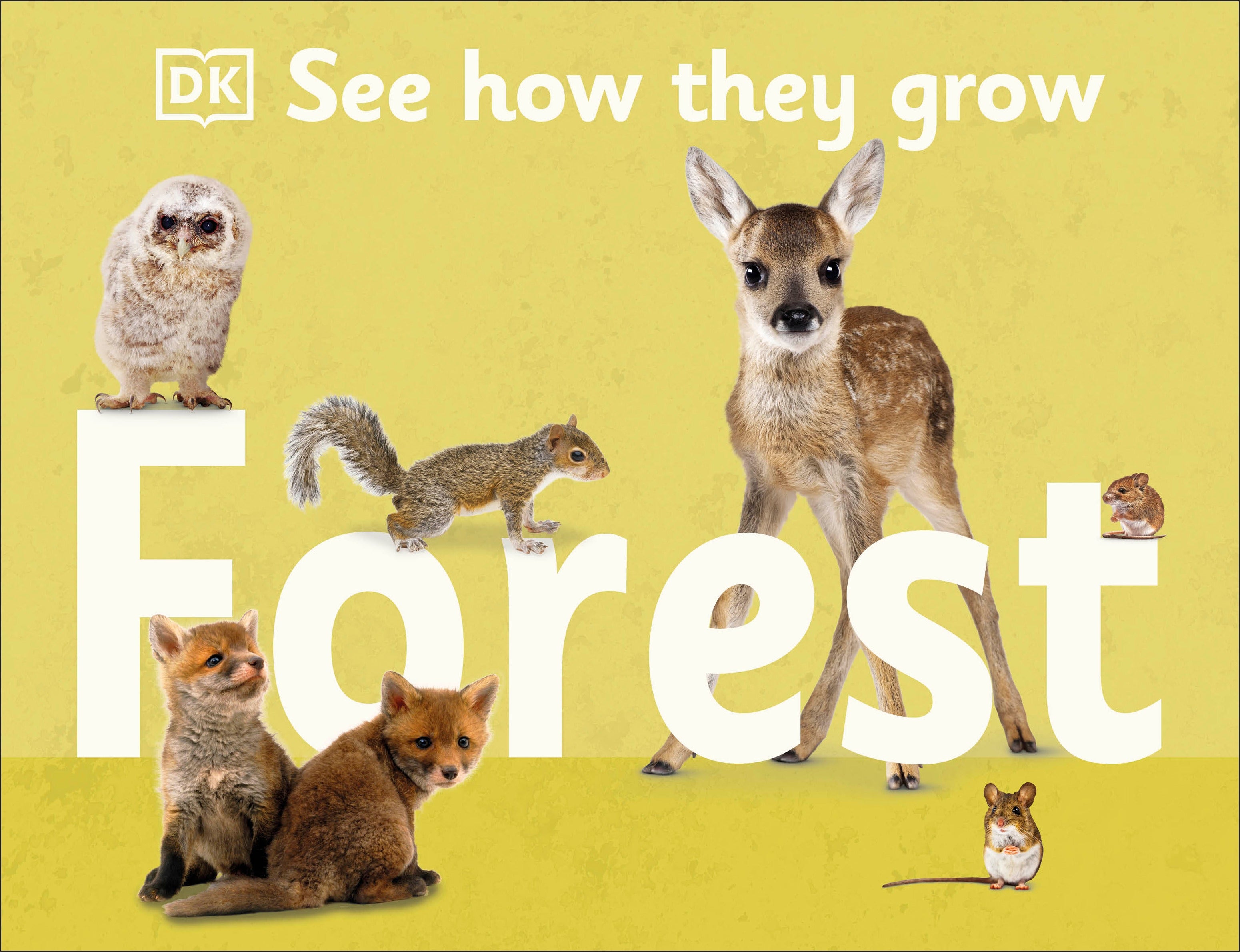 See How They Grow Forest cover