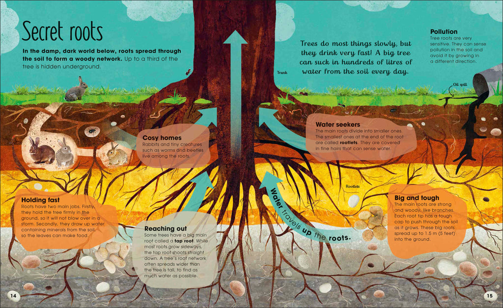 The Magic and Mystery of Nature Collection-Spread, Image, (PRHC, Design, Do, Not, Use)-3