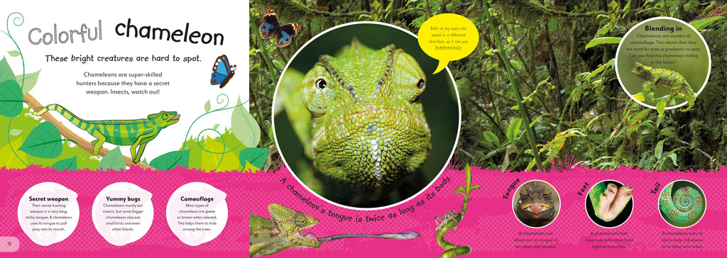 The Incredible Fold-Out Book of Animals