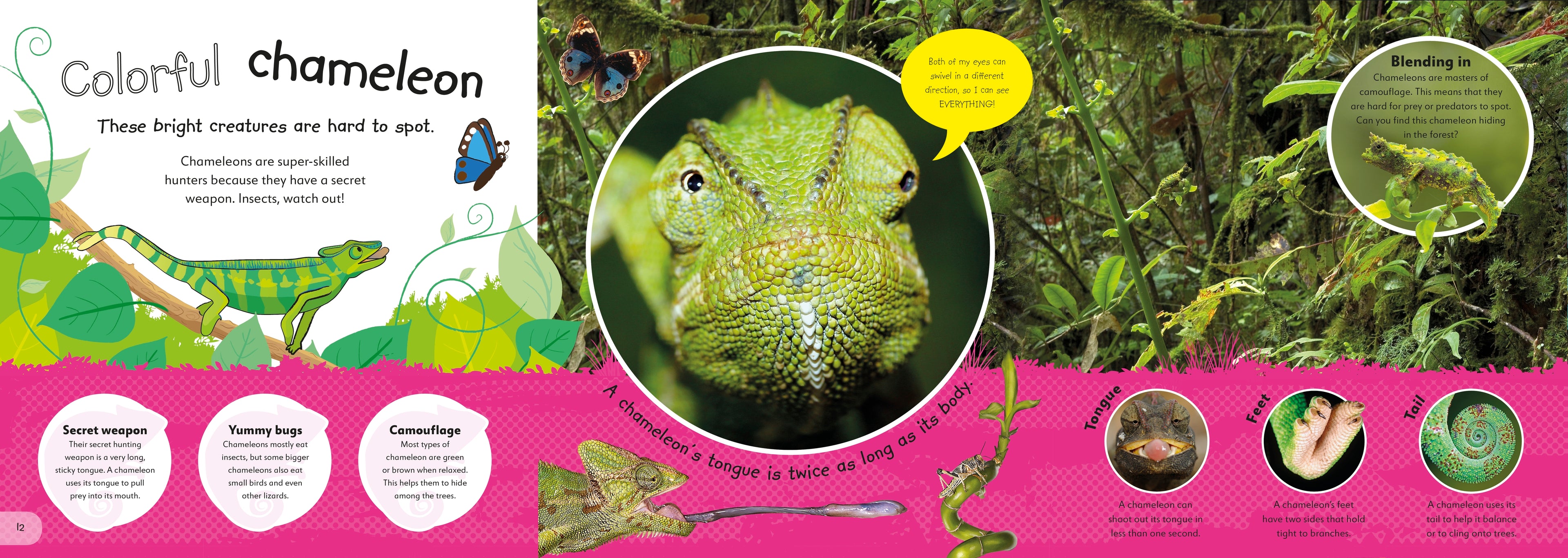 The Incredible Fold-Out Book of Animals