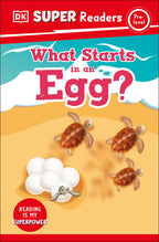 9780241599136-DK Super Readers Pre-Level What Starts in an Egg?-Jacket Image