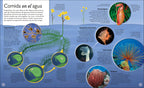 La vida del agua (Water Cycles)-Spread, Image, (PRHC, Design, Do, Not, Use)-72