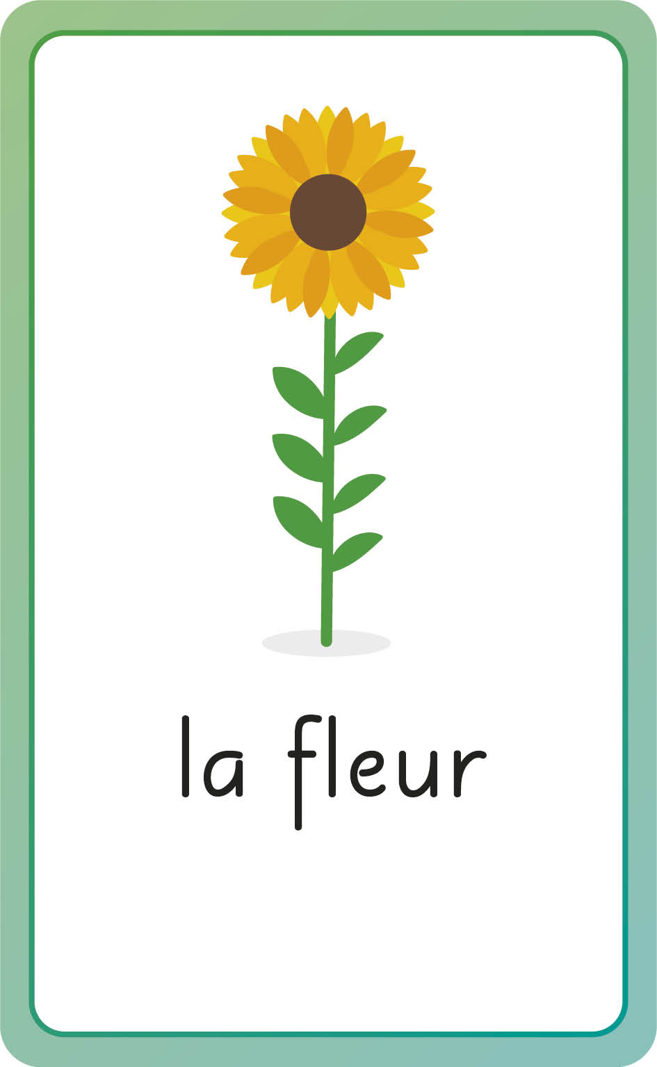 French for Everyone Junior First Words Flash Cards-image