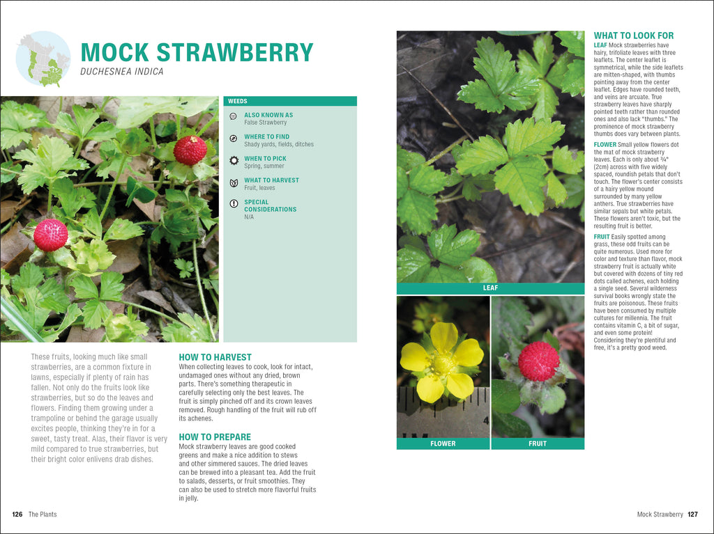 Foraging-Spread, Image, (PRHC, Design, Do, Not, Use)-5