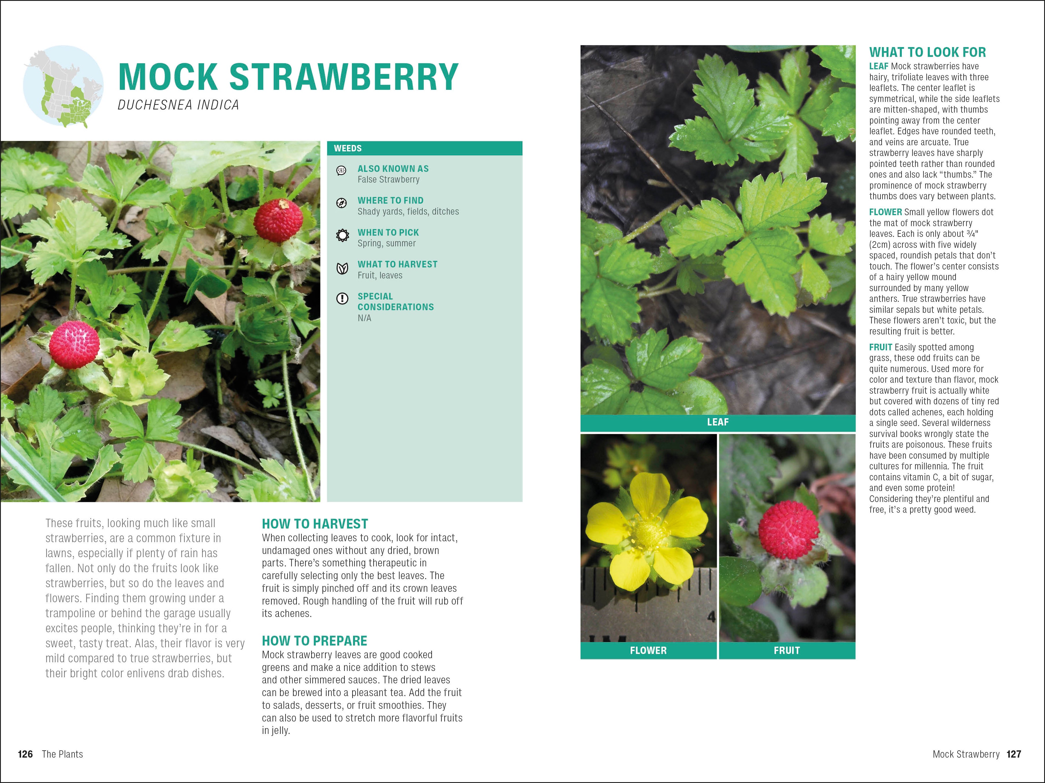 Foraging-Spread, Image, (PRHC, Design, Do, Not, Use)-5