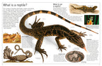 DK Eyewitness Books: Reptile