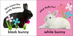 Baby Touch and Feel Bunny