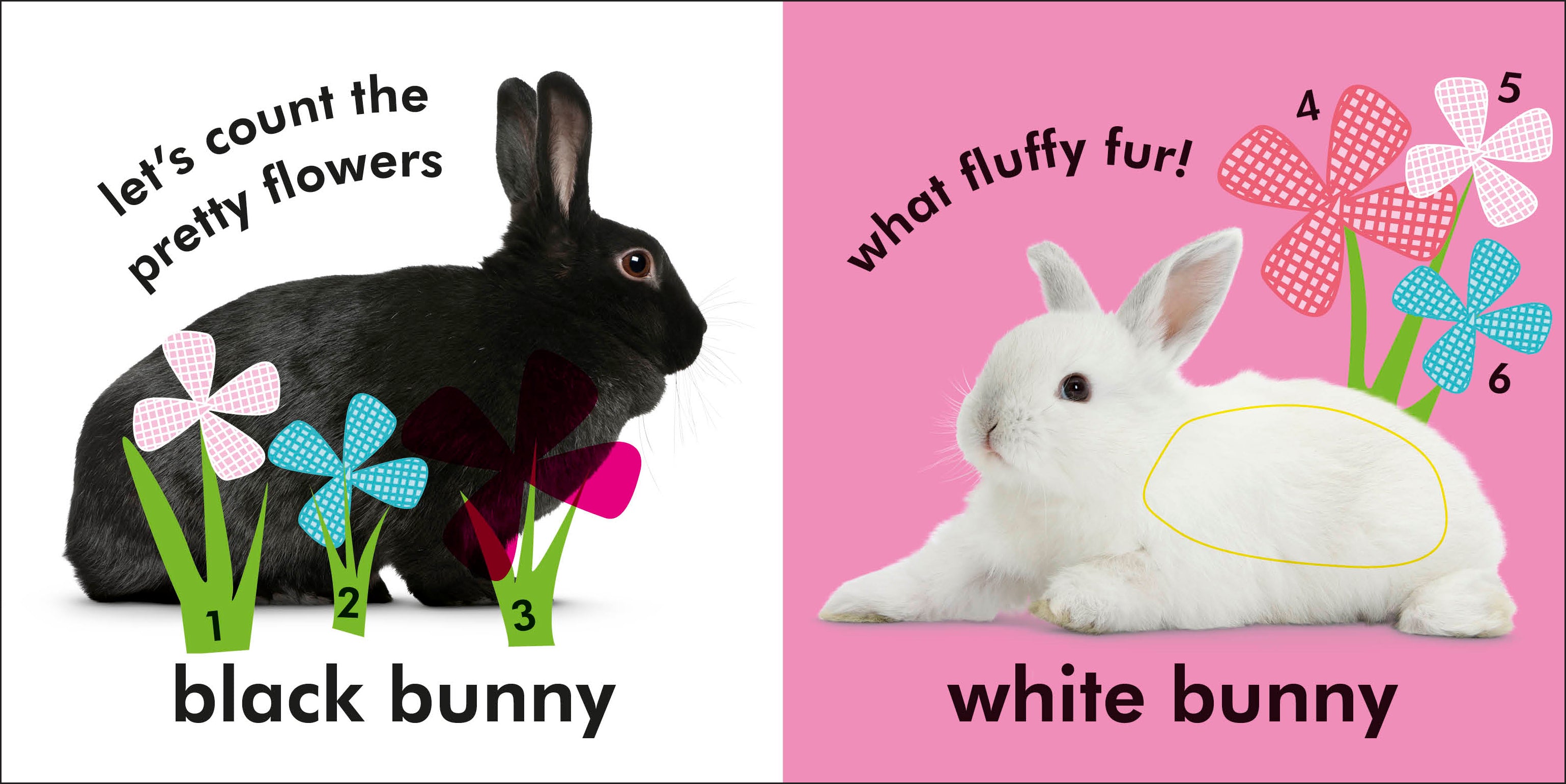 Baby Touch and Feel Bunny