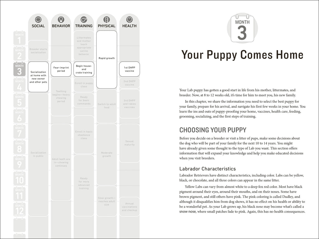 Your Labrador Retriever Puppy Month by Month, 2nd Edition