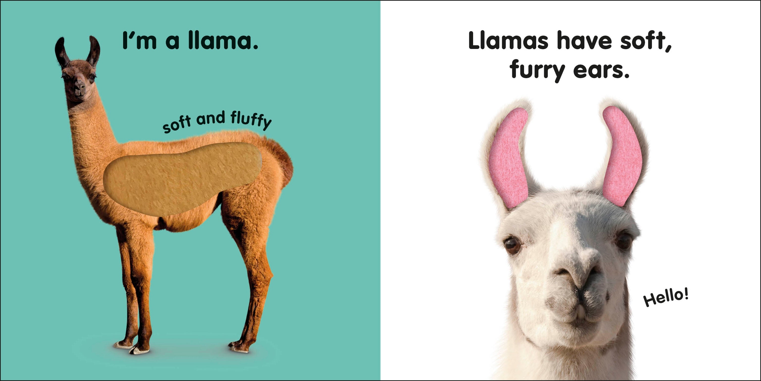 Baby Touch and Feel Llama