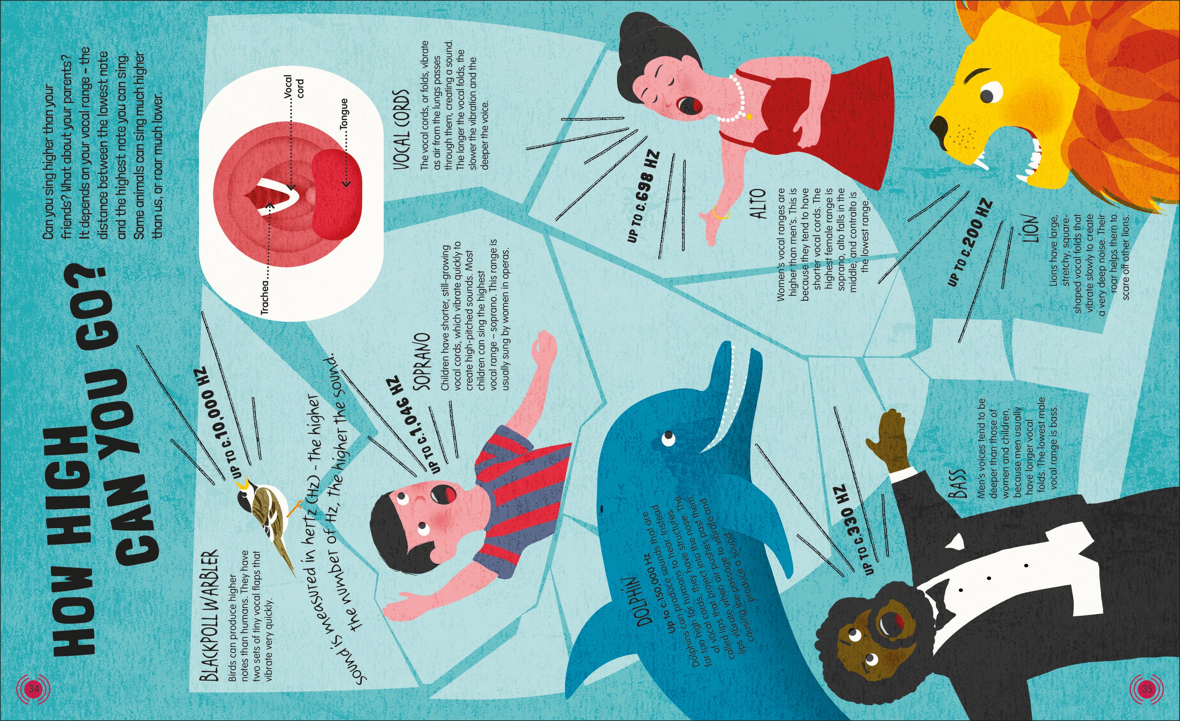 Music and How it Works