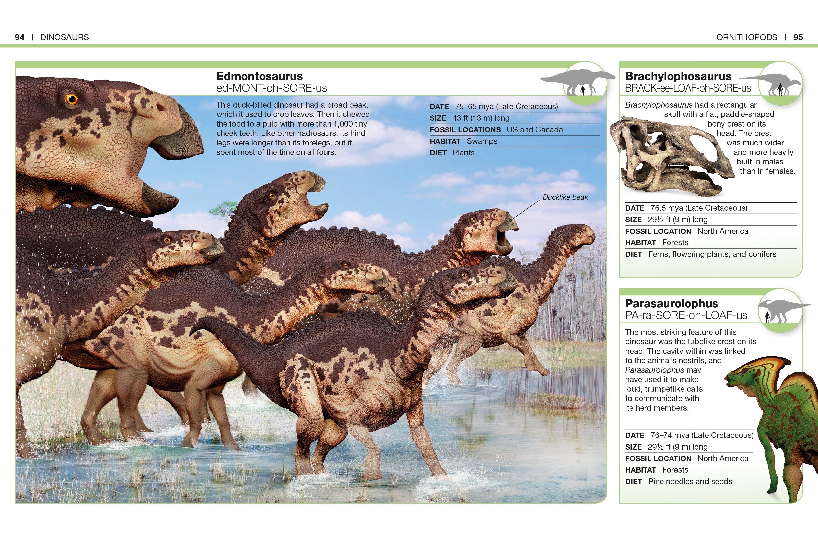 Pocket Genius Dinosaurs – DK
