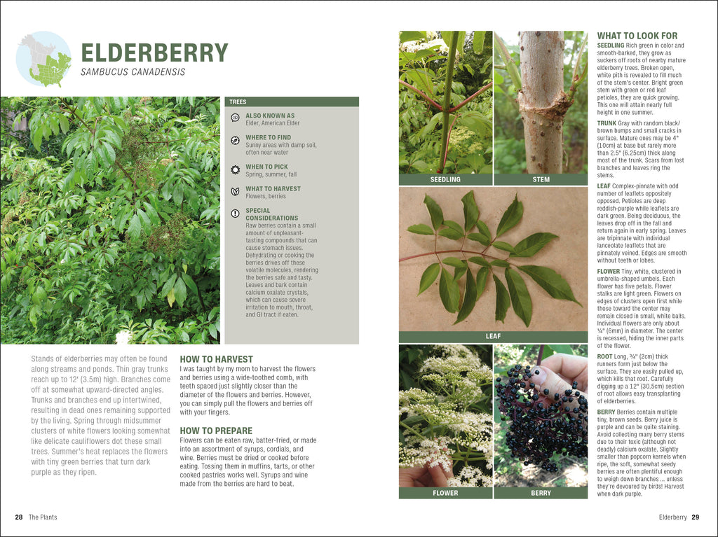 Foraging-Spread, Image, (PRHC, Design, Do, Not, Use)-2