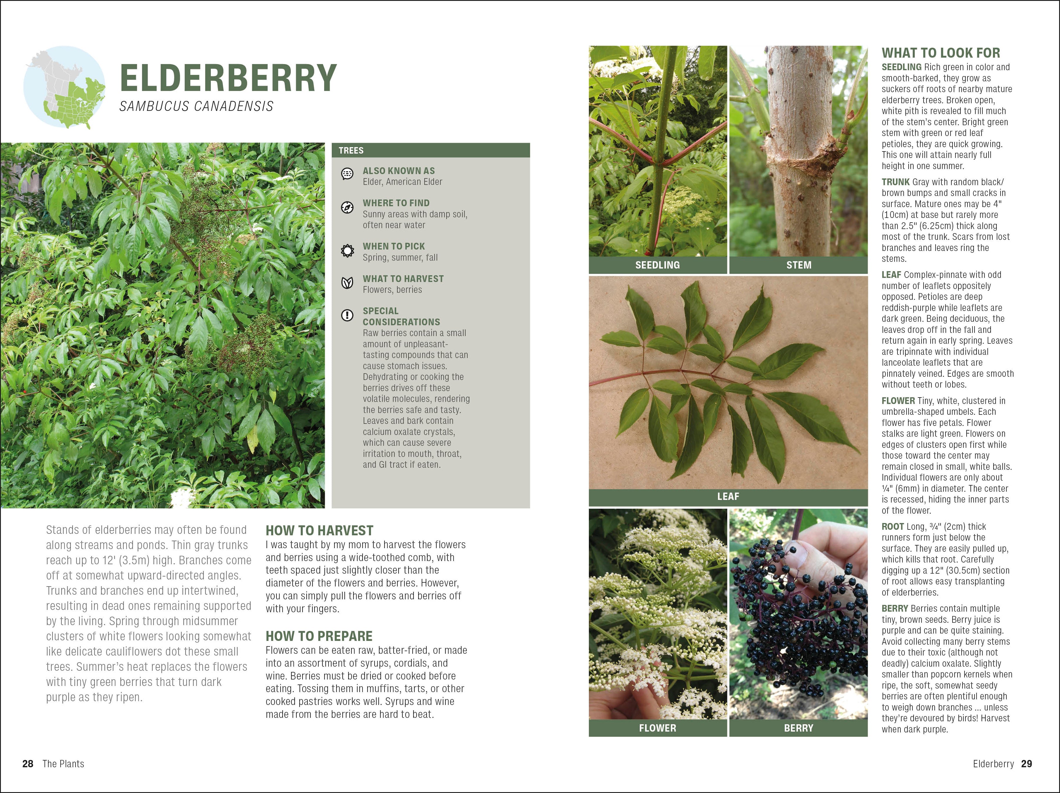 Foraging-Spread, Image, (PRHC, Design, Do, Not, Use)-2