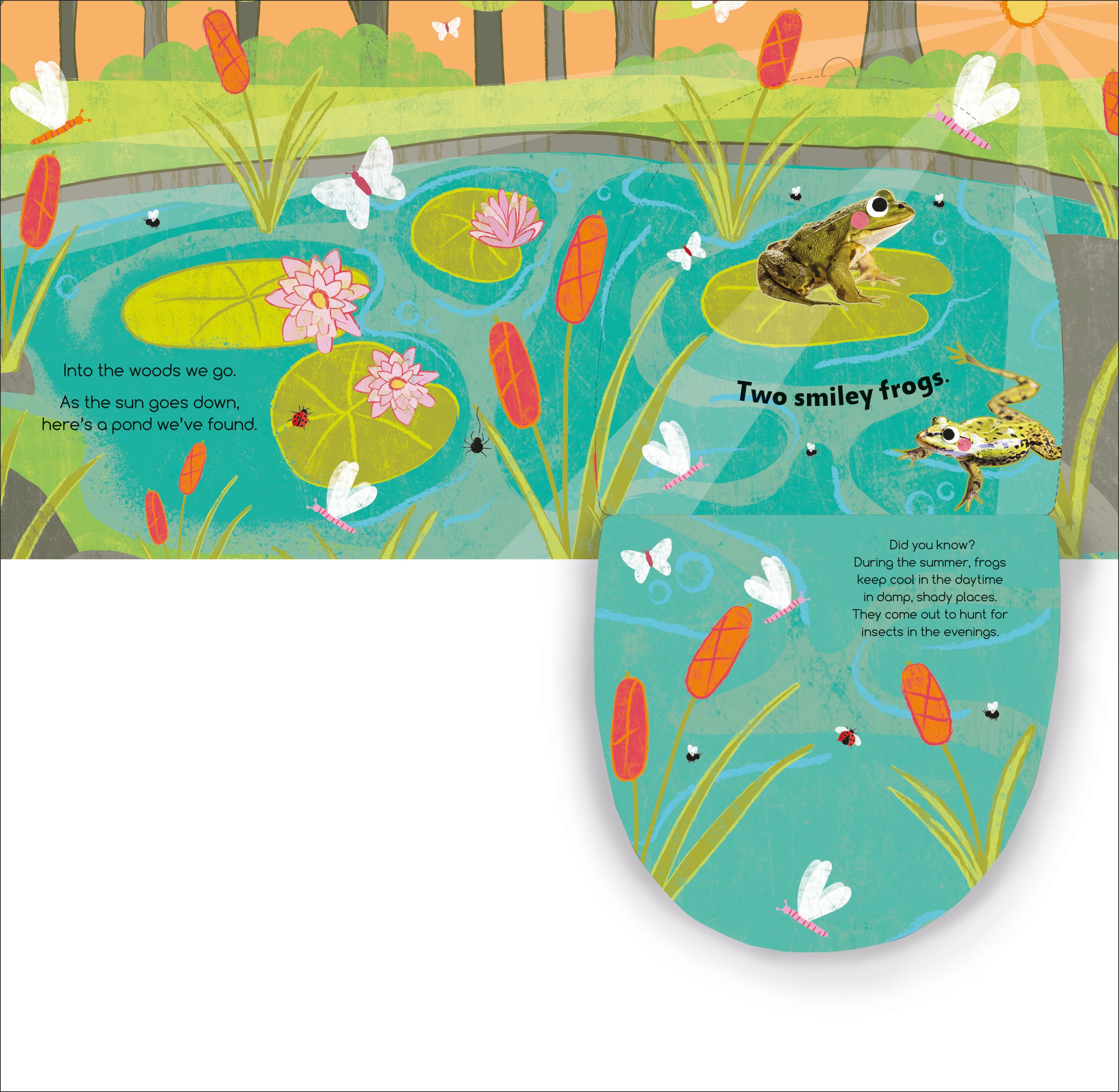 Flip Flap Find! Into The Woods