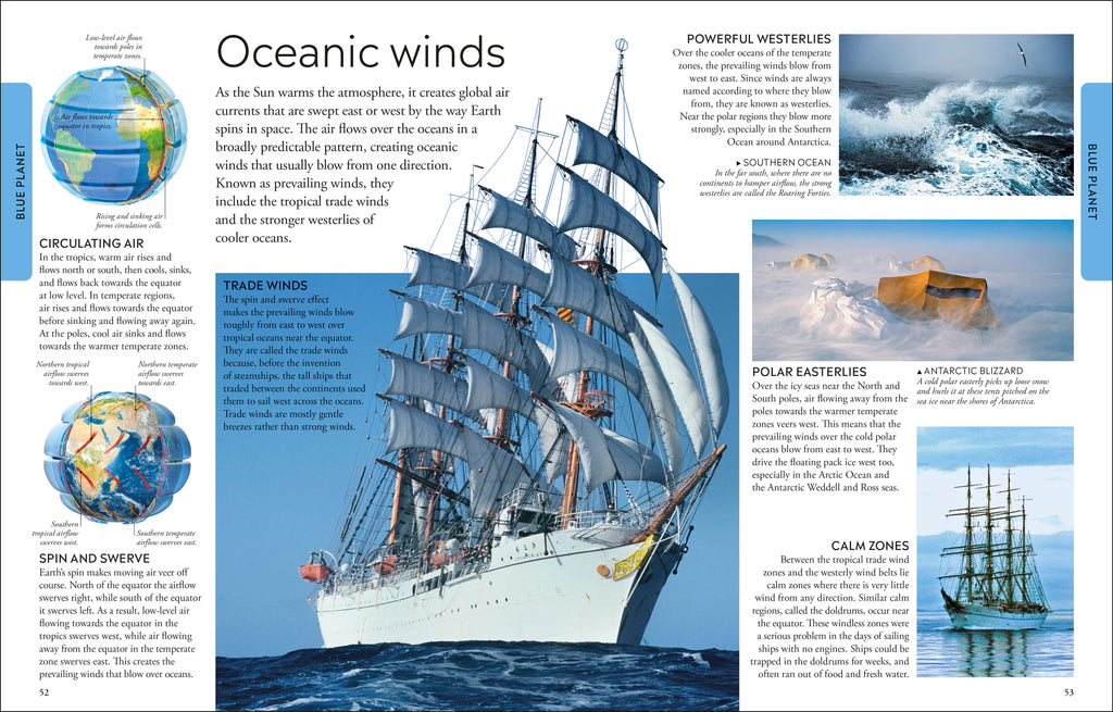 Ocean A Children's Encyclopedia: New Edition