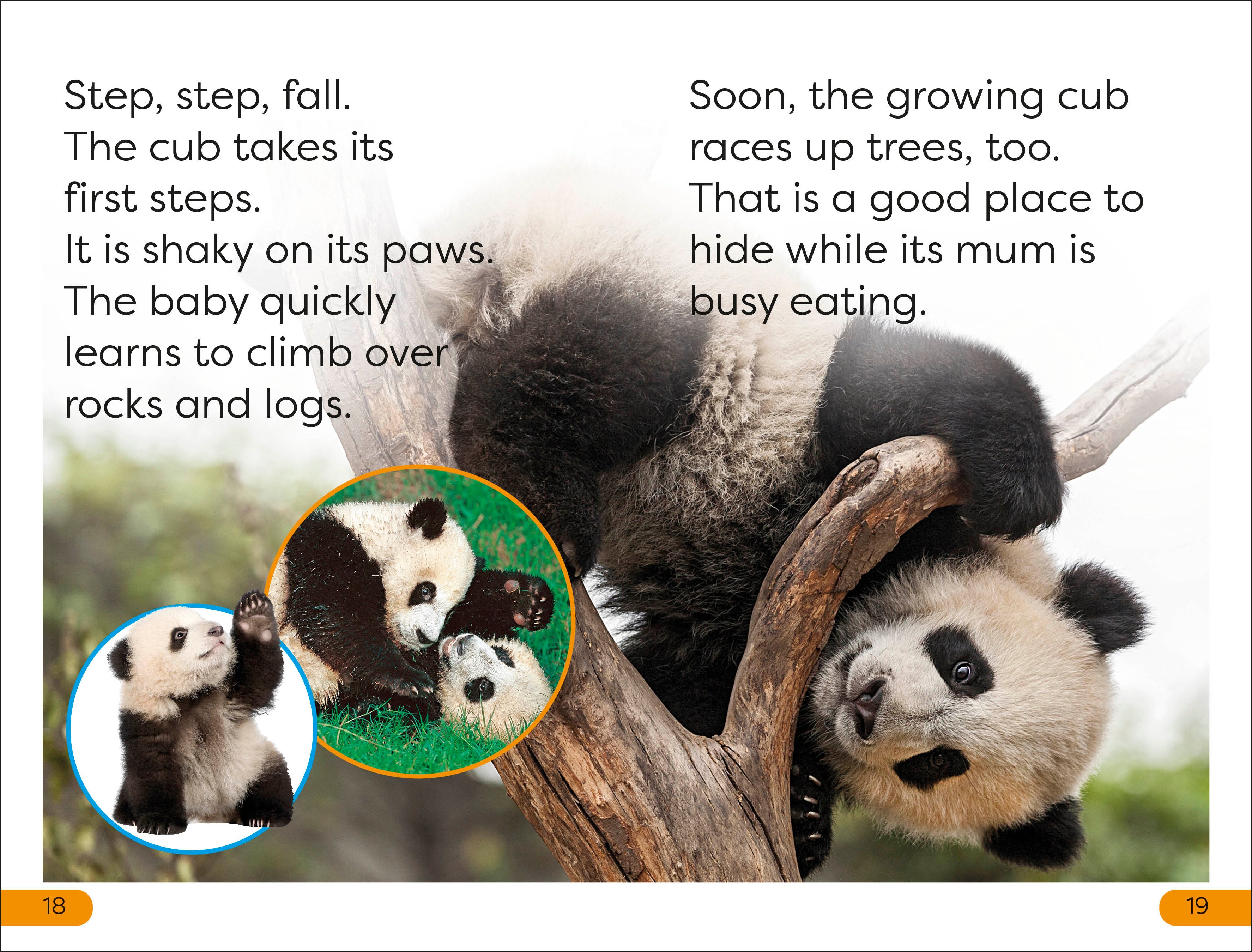 DK Super Readers Level 1 Save the Pandas