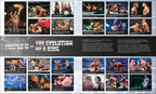WWE 35 Years of Wrestlemania