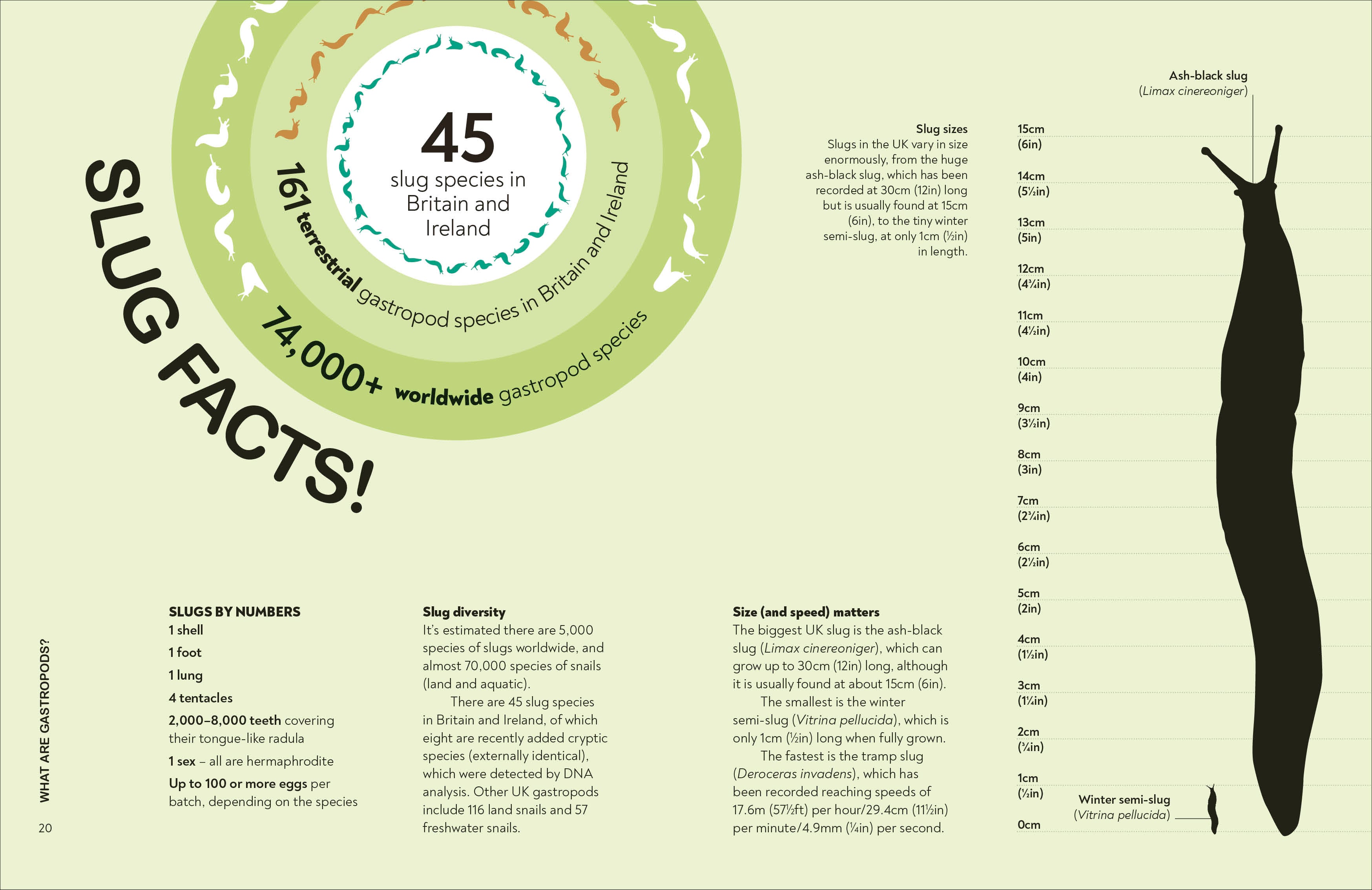 RHS Slugs: Friend or Foe?-Spread, Image, (PRHC, Design, Do, Not, Use)-2