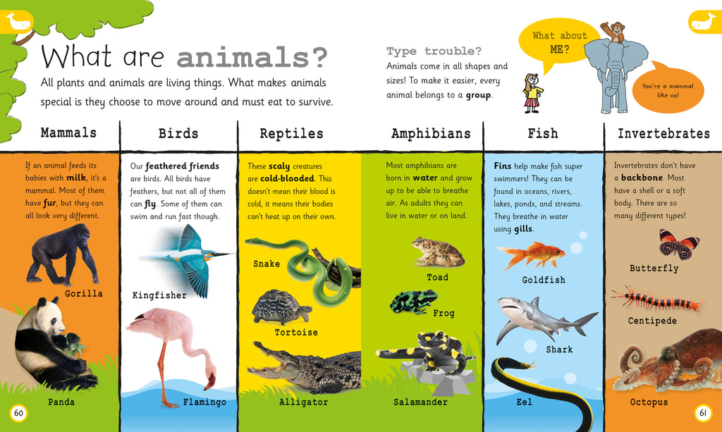 My Encyclopedia of Very Important Things