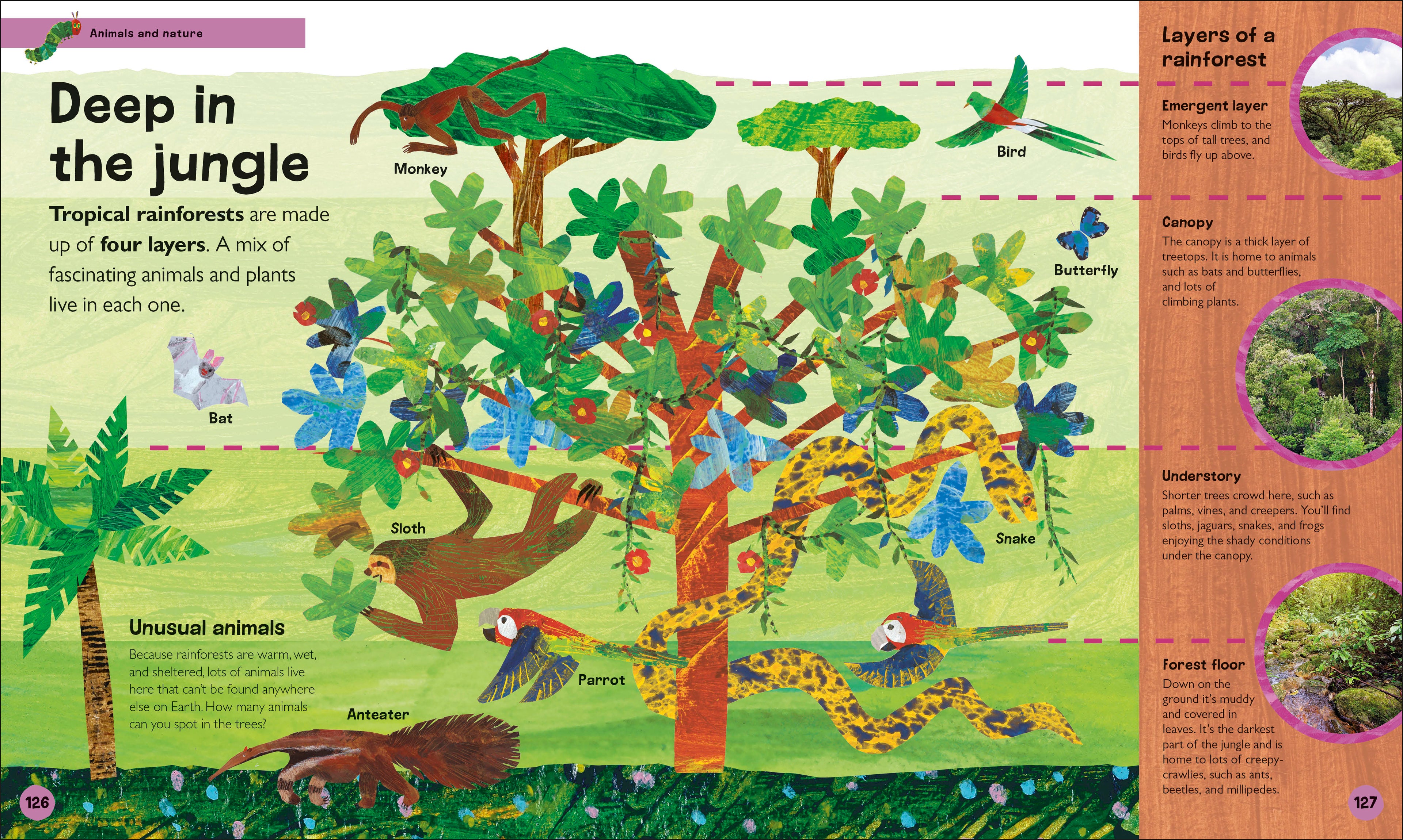 The Very Hungry Caterpillar's Very First Encyclopedia-spread image