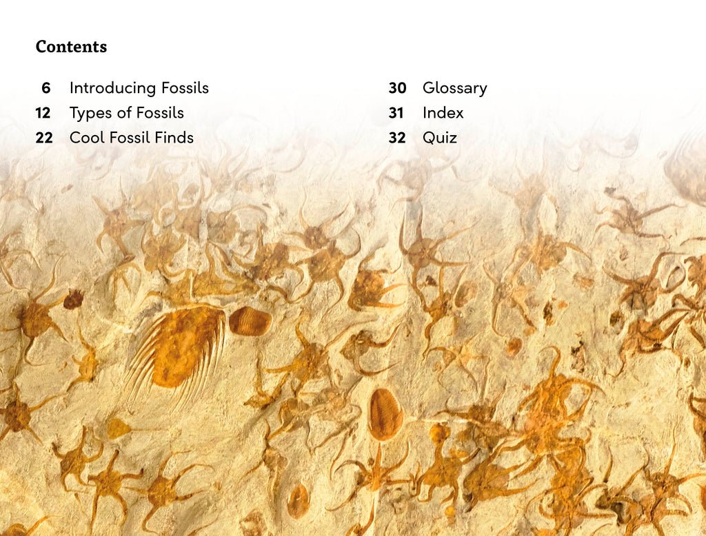 DK Super Readers Level 3 Fossils