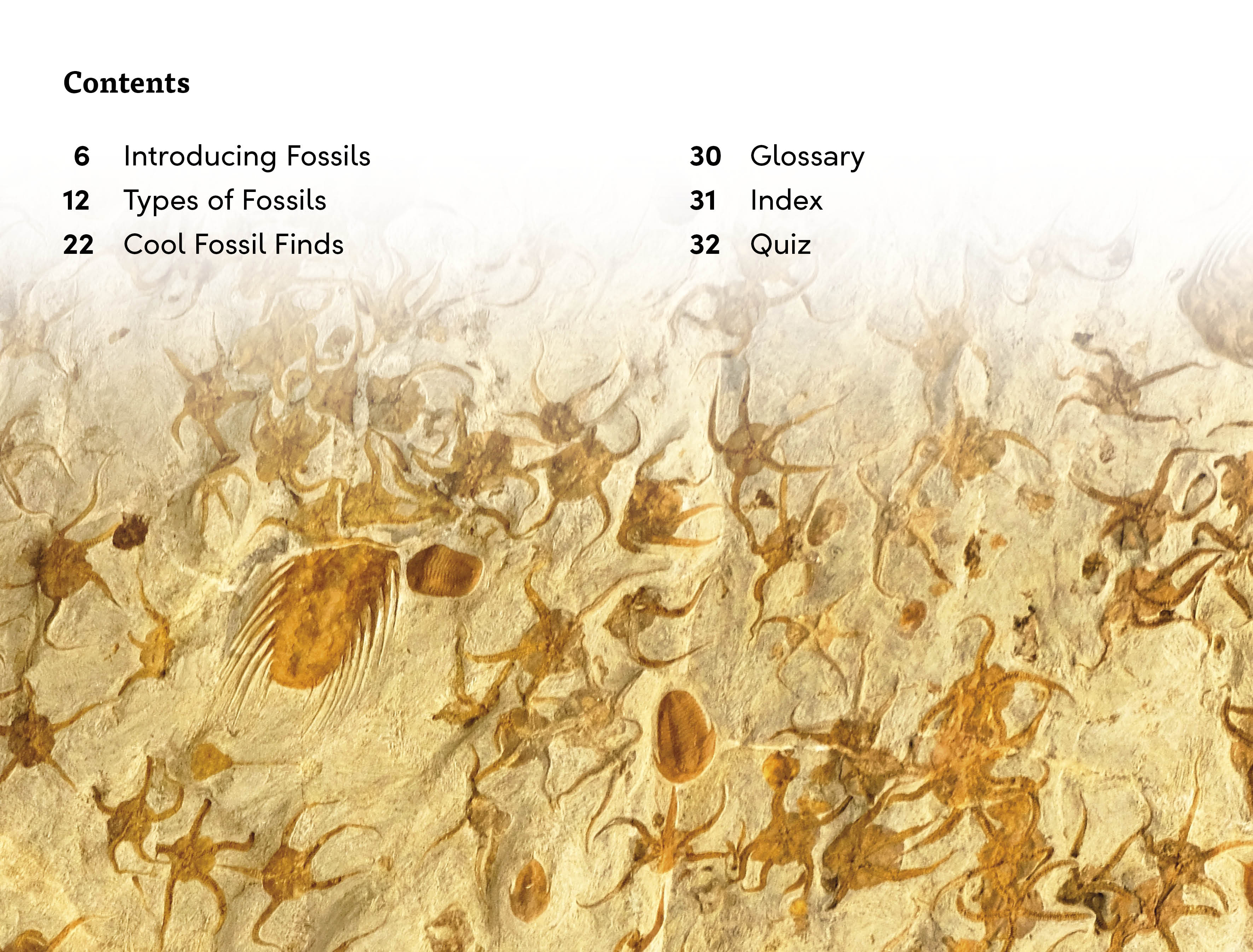 DK Super Readers Level 3 Fossils