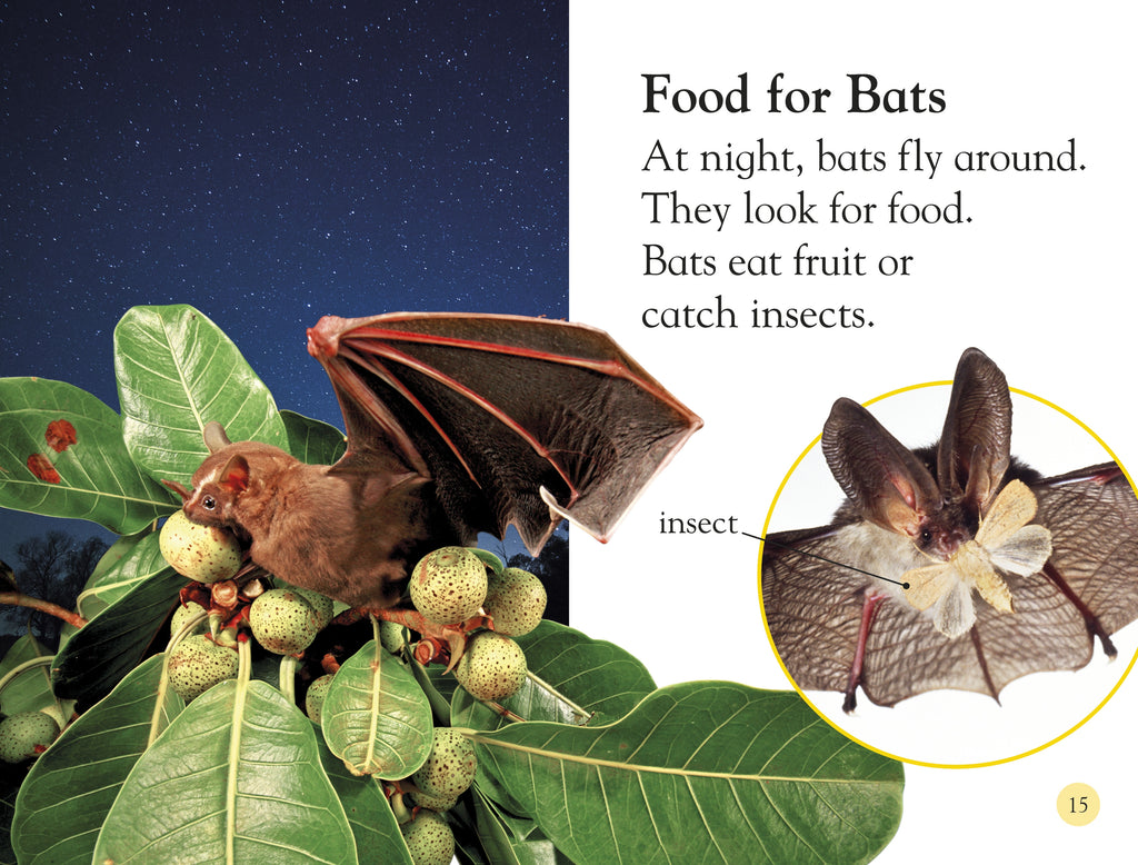 DK Readers L1: All About Bats