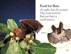 DK Readers L1: All About Bats