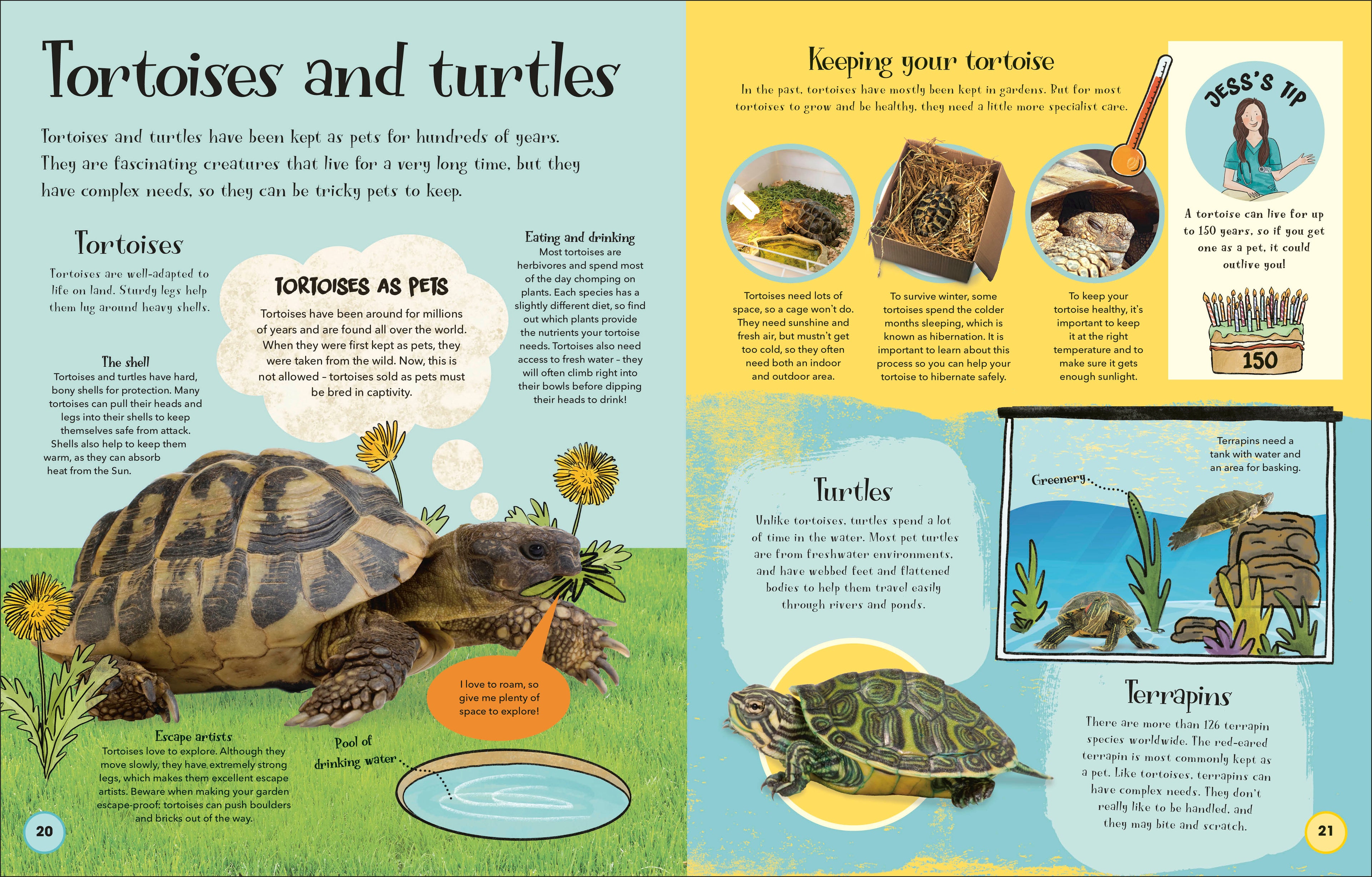 Pets and Their People