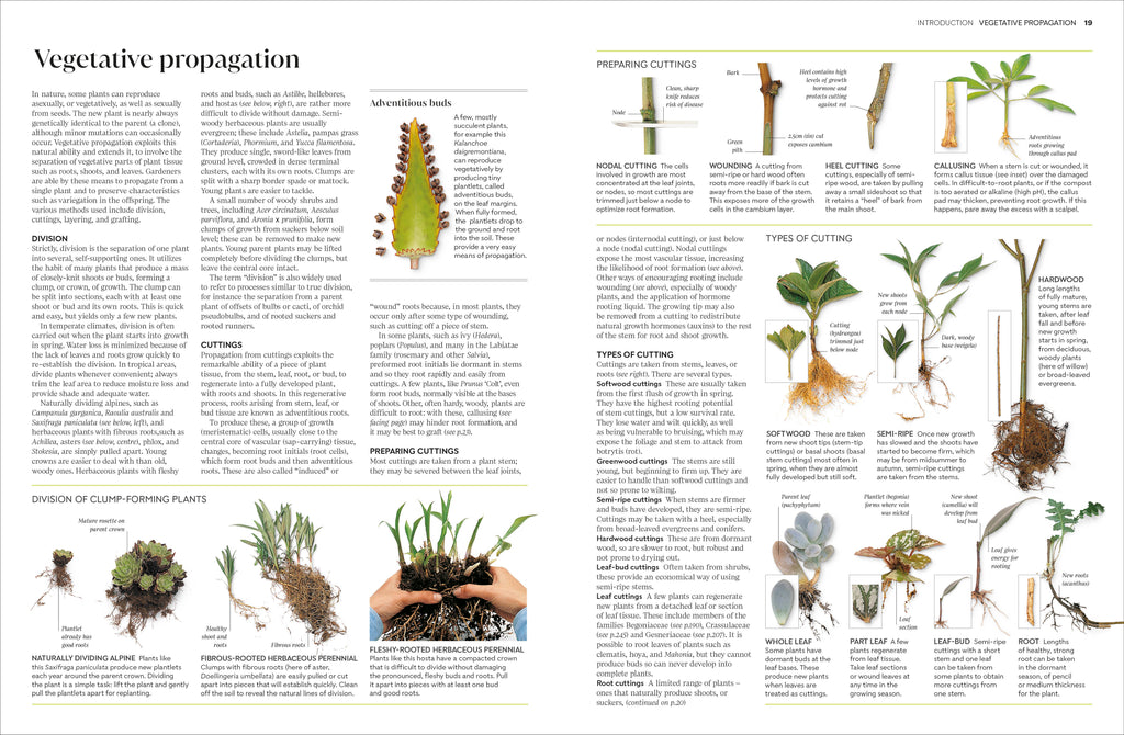 RHS Propagating Plants-Spread, Image, (PRHC, Design, Do, Not, Use)-1
