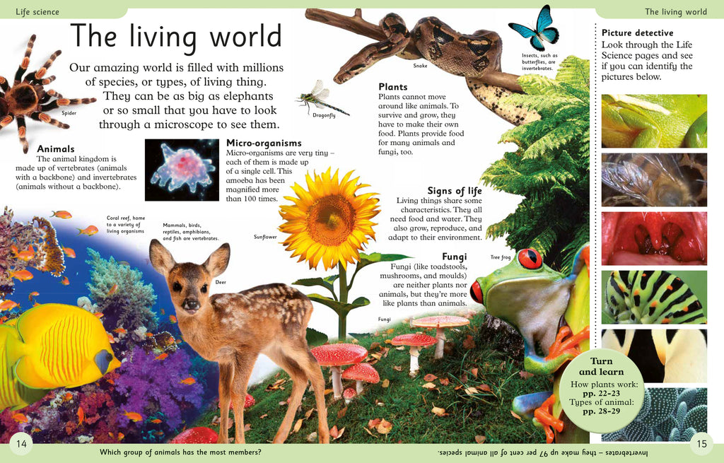 First Science Encyclopedia