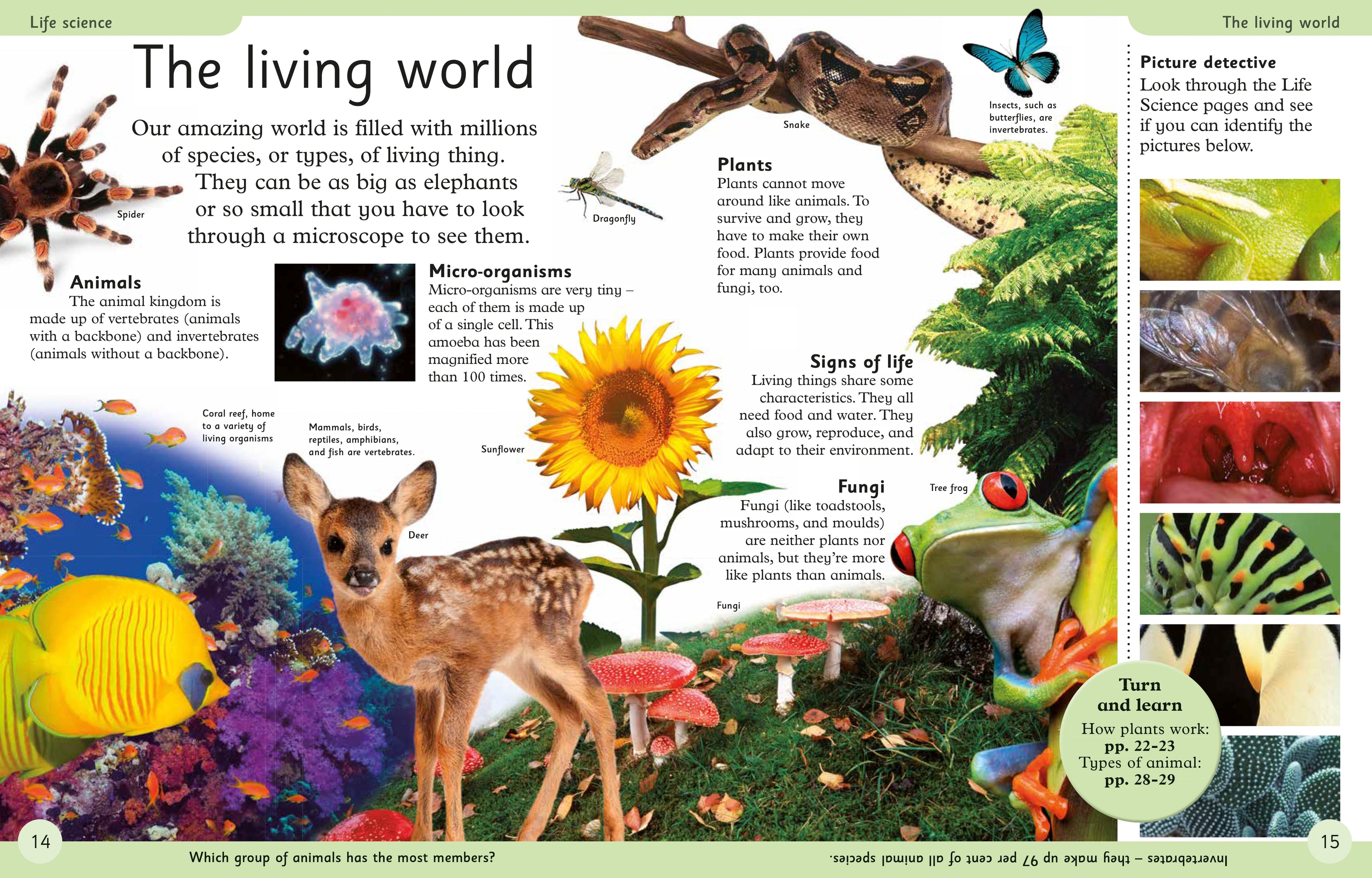 First Science Encyclopedia