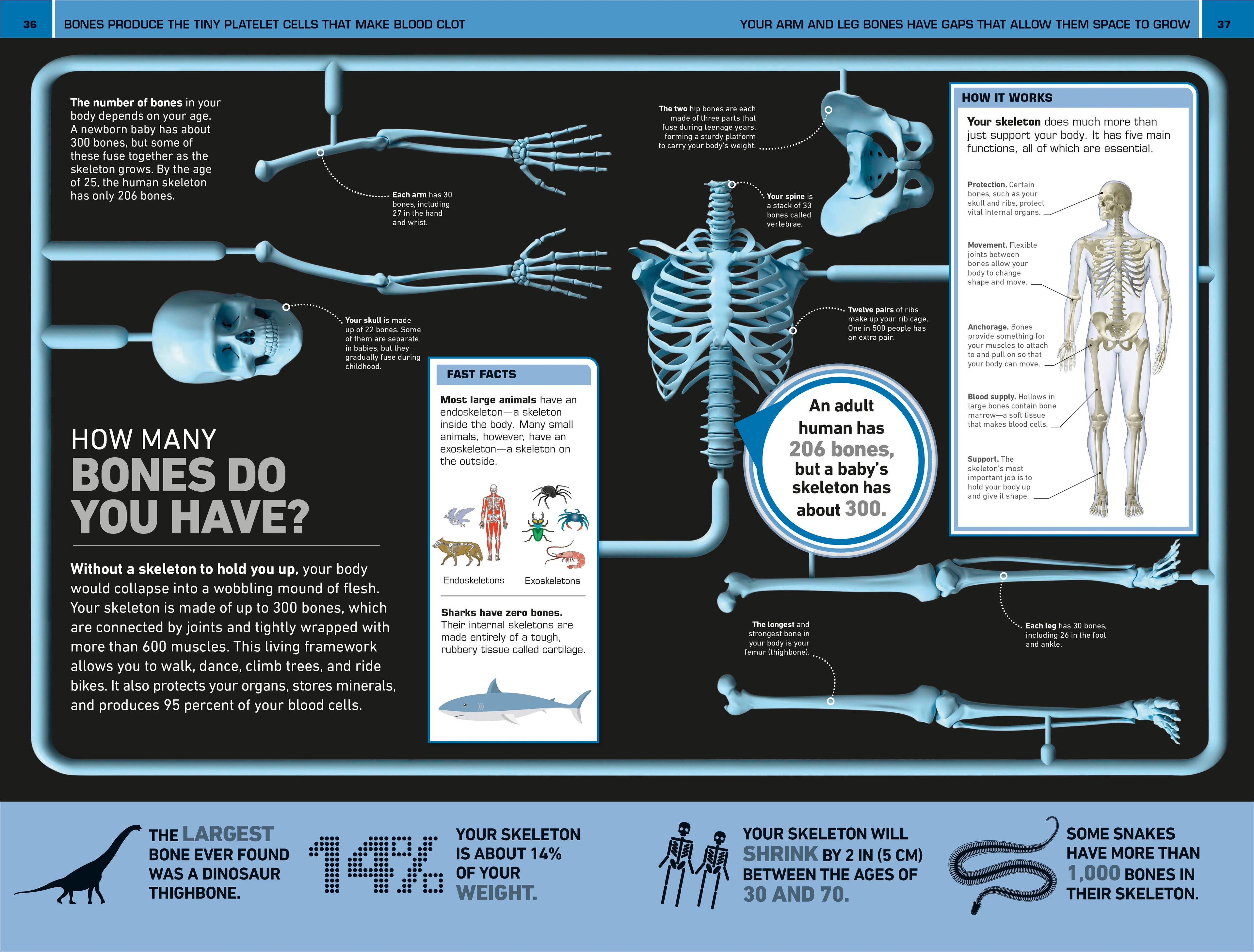 1,000 Amazing Human Body Facts
