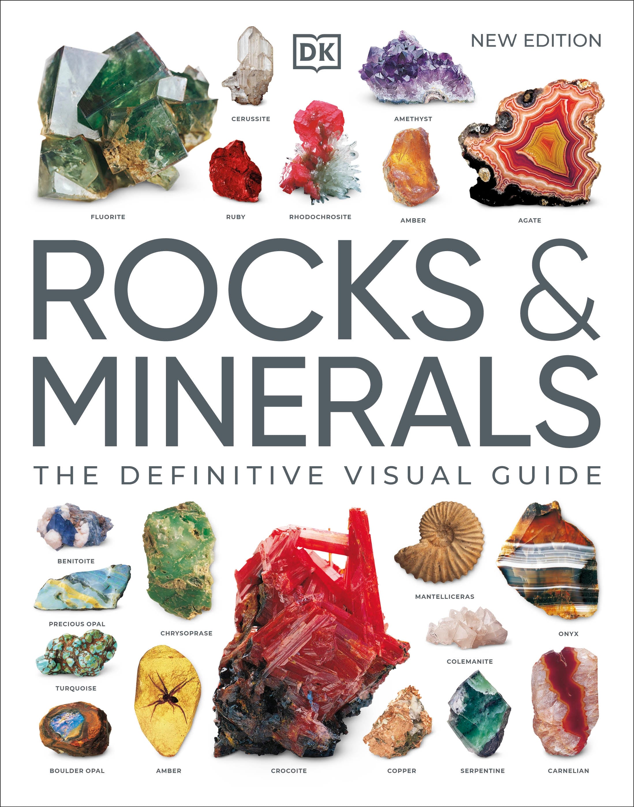 9780241600481-Rocks & Minerals-Jacket Image