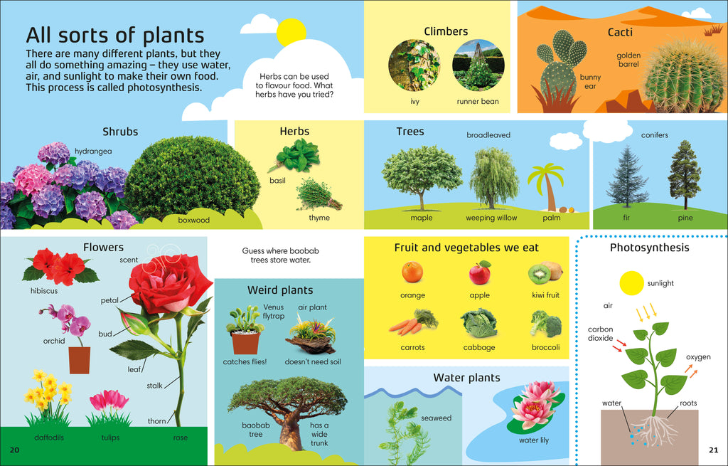 1000 Words: Nature-Spread, Image, (PRHC, Design, Do, Not, Use)-2