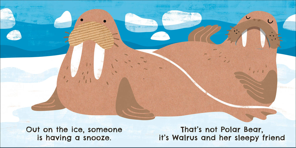 Eco Baby Where Are You Polar Bear?