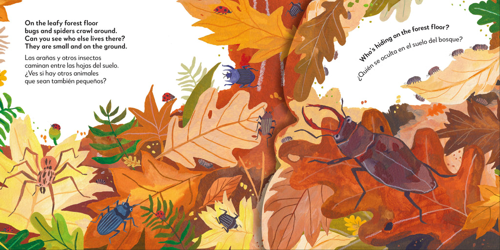 Bilingual Pop-Up Peekaboo! Forest - El bosque-Spread, Image, (PRHC, Design, Do, Not, Use)-6