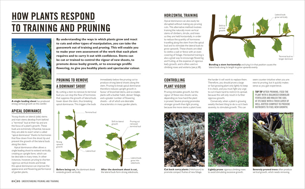 Grow Pruning & Training