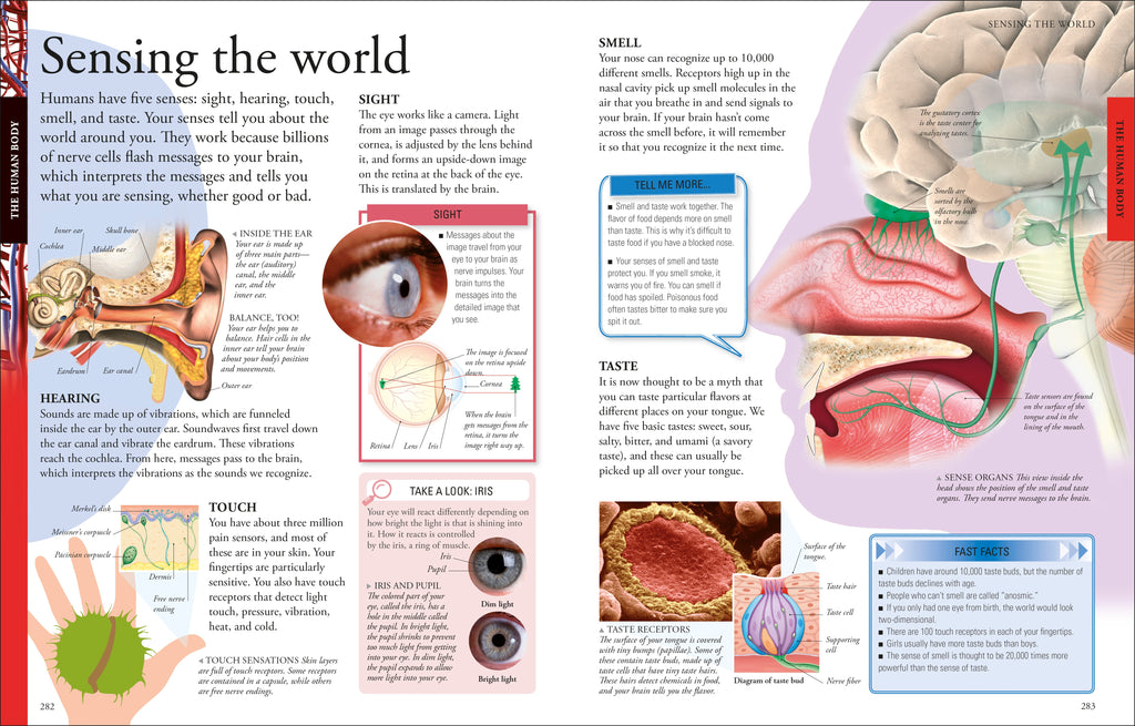 The New Children's Encyclopedia