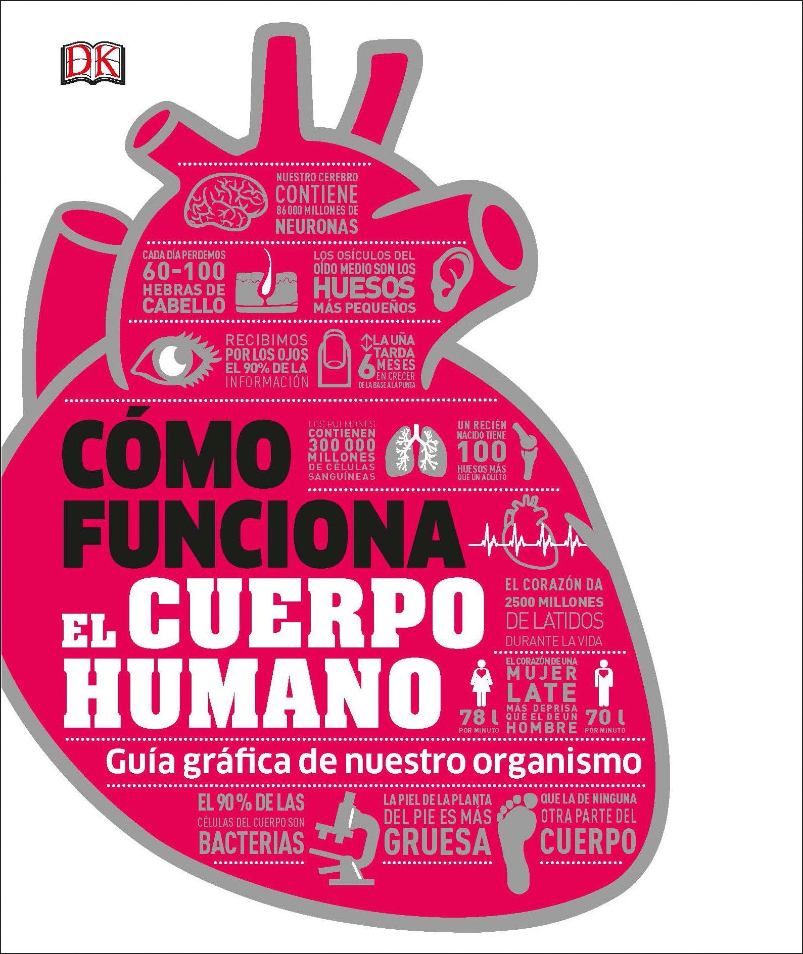 Cómo funciona el cuerpo humano (How the Body Works) jacket