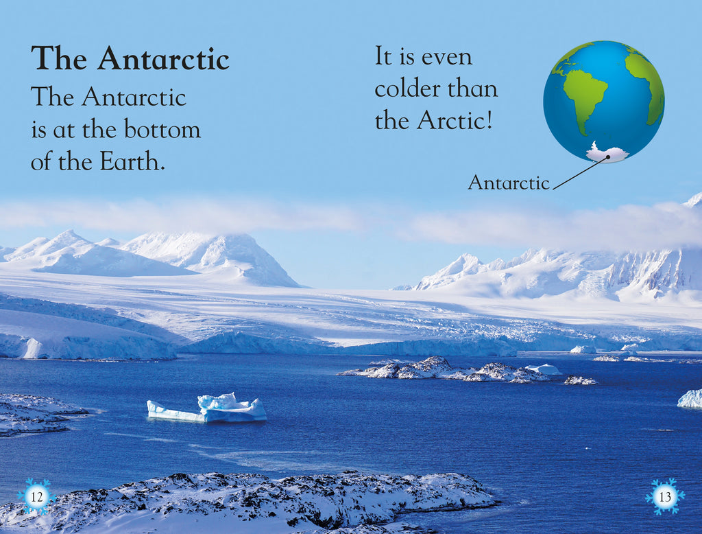 DK Readers L1 Frozen Worlds