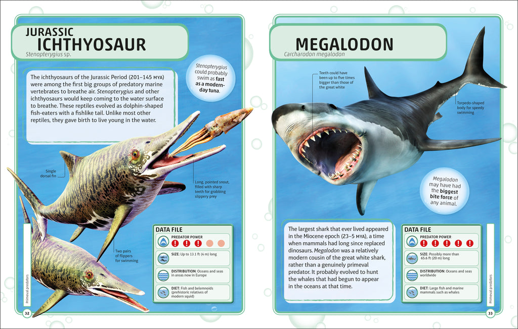 Sharks and Other Deadly Ocean Creatures Visual Encyclopedia