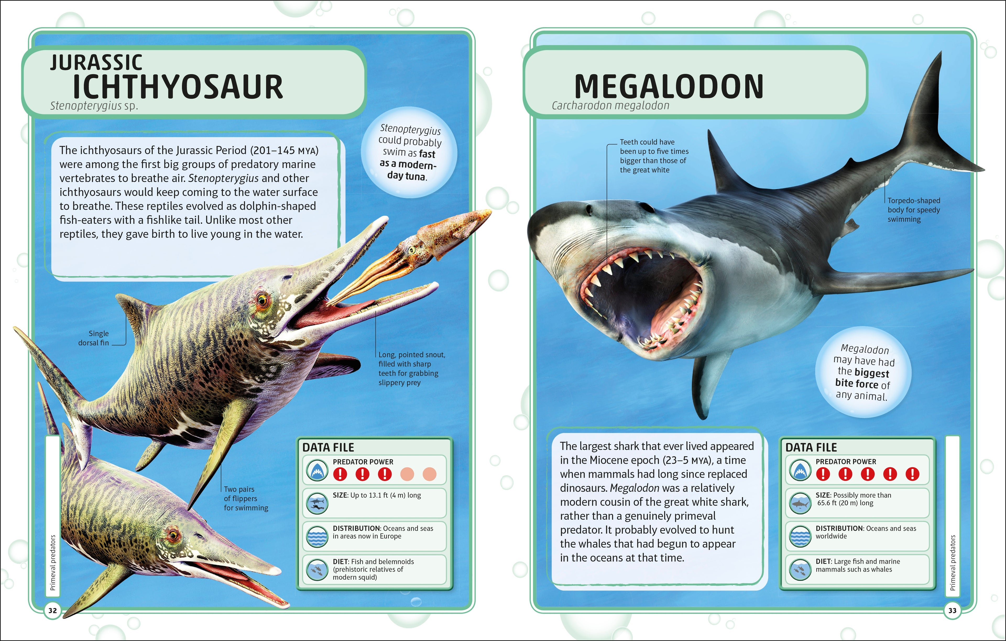 Sharks and Other Deadly Ocean Creatures Visual Encyclopedia