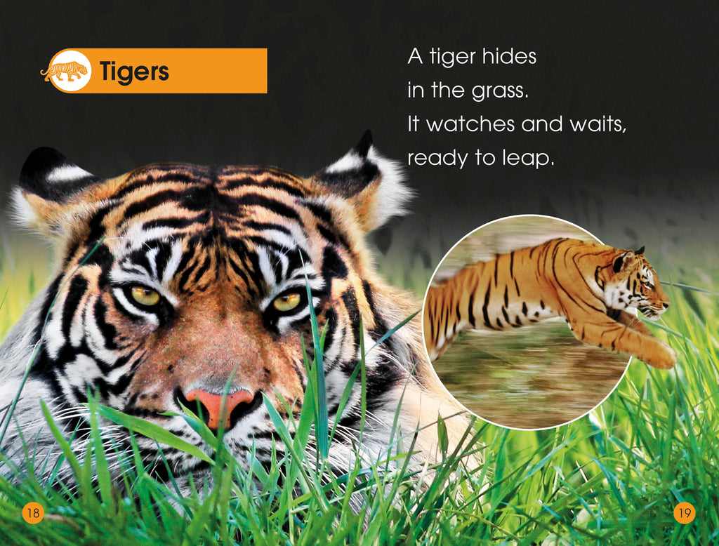 DK Readers L1: Jungle Animals