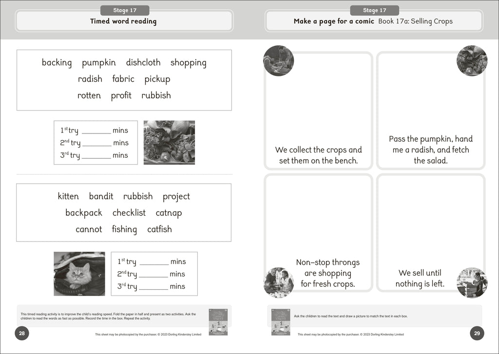 Phonic Books Dandelion World Reading and Writing Activities for Stages 16-20