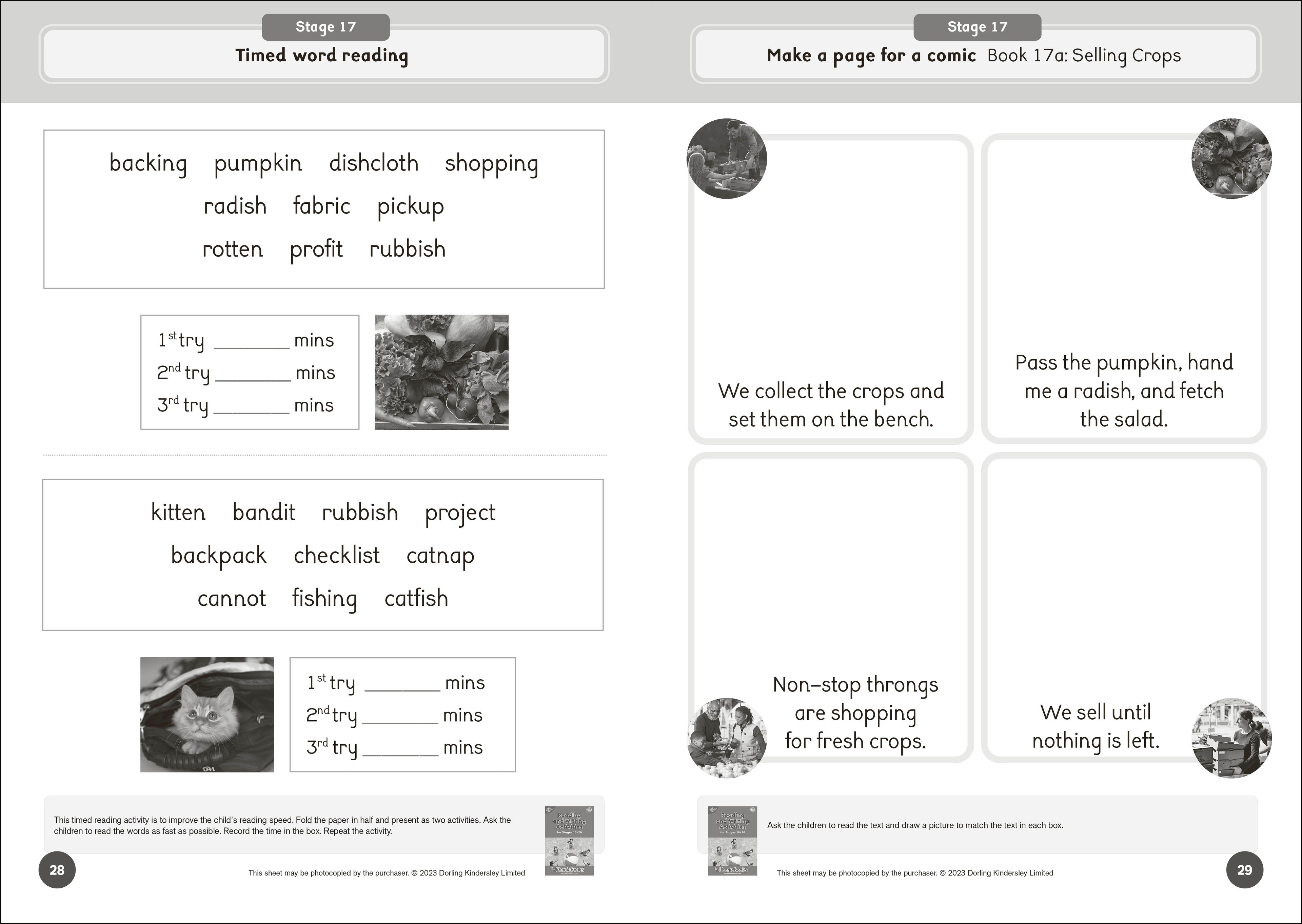 Phonic Books Dandelion World Reading and Writing Activities for Stages 16-20